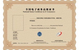 电子商务专业可考的证书