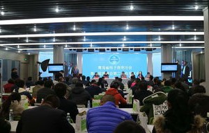青海电子商务专业培训