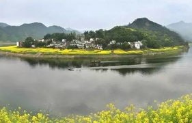 新安江  电子商务专业