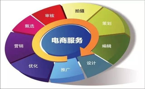 电子商务 专业类别