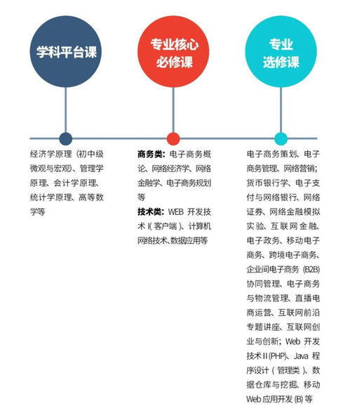 电子商务管理方向专业