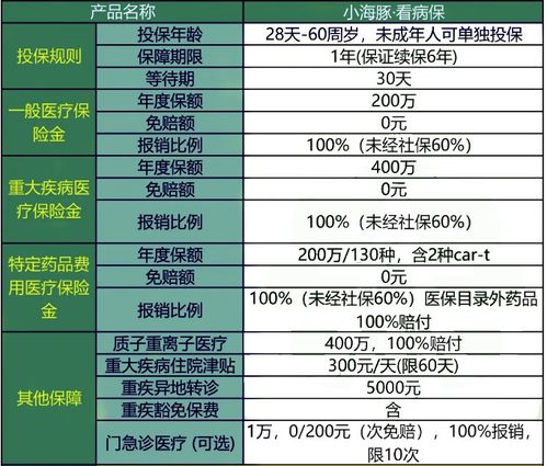 江门专业电子商务价钱表