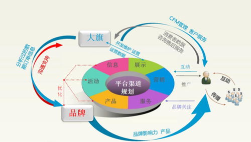 电子商务有什么类别专业