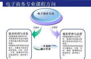 云南报考电子商务专业