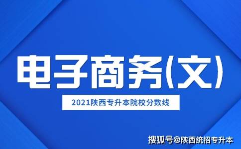 合肥专升本电子商务专业