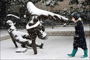 郑州遭遇罕见大暴雪