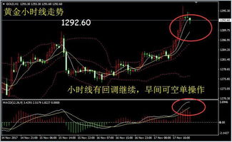 金价疯涨，逼近870元每克，多重因素驱动，投资者纷纷抢购黄金